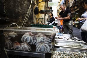 Hotelpiazzabellini Napoli Location 010